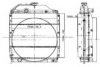 ORDONEZ 1020620825 Radiator, engine cooling